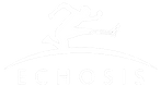 Echosis